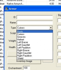 fig11.jpg