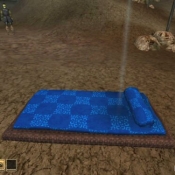 blue_check_bedroll