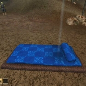 blue_check_bedroll