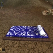 blue_silver_bedroll