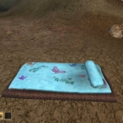 light_blue_bedroll