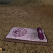 purple_bedroll