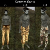 BC_Pants_com_01