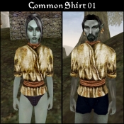 BC_Shirt_com_01