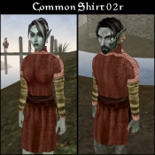 BC_Shirt_com_02r