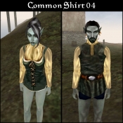 BC_Shirt_com_04