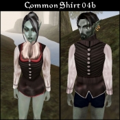 BC_Shirt_com_04b