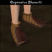 BC_Shoes_exp_01