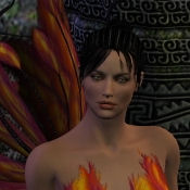 Bird_of_Paradise