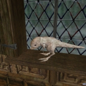 Guar_Statue