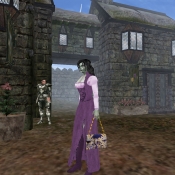 HandbagShield